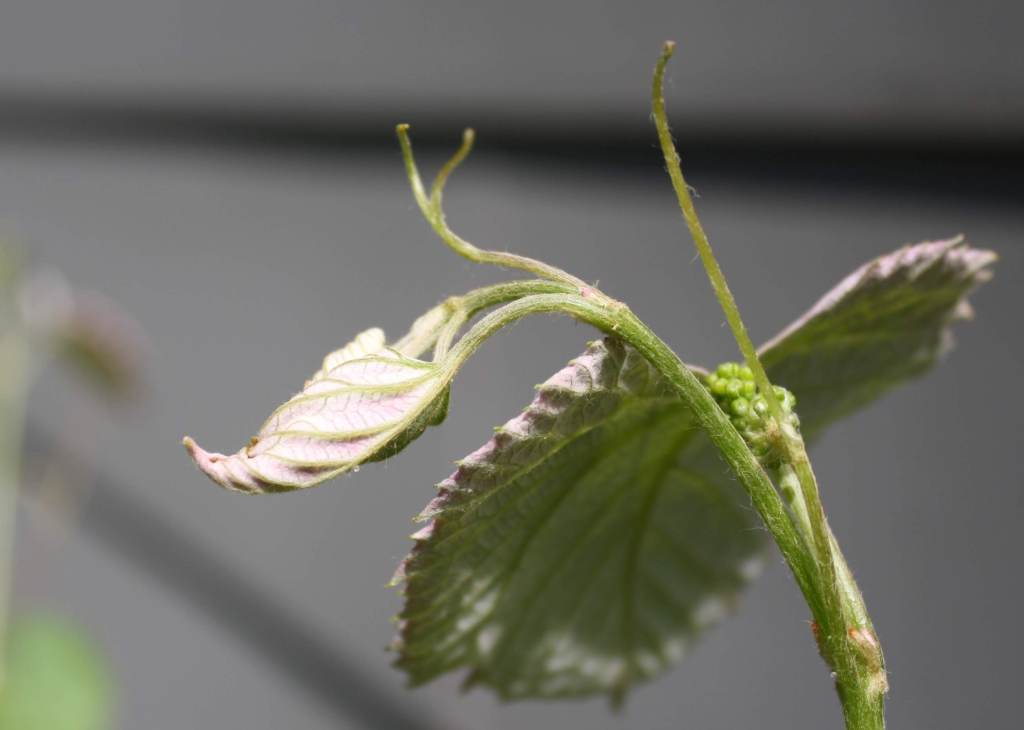 The Incarnational Church