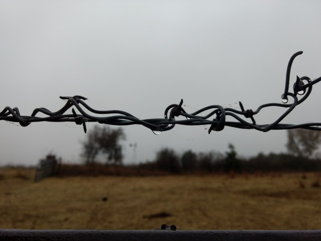 Praise God in the&nbsp;Everyday