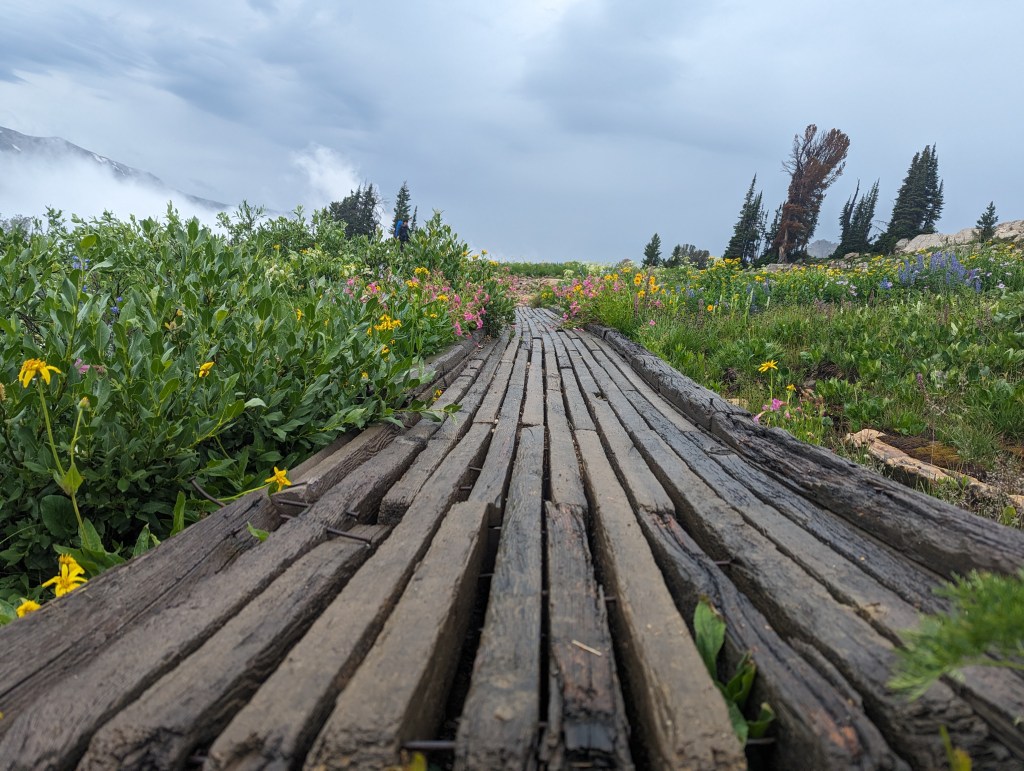 Onward into The Unplanned Way of&nbsp;Jesus