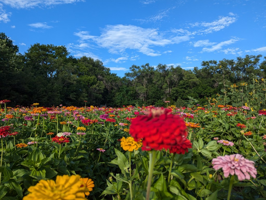 Beautiful Worship of a Beautiful&nbsp;God