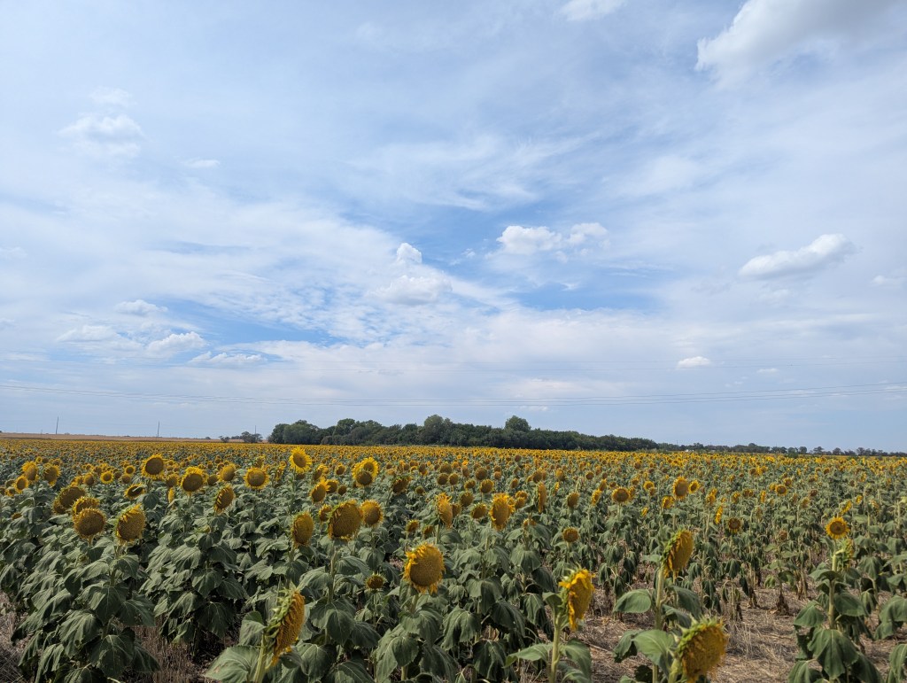 For the Good of All: Understanding Frameworks for Civic and Church Partnerships in Rural&nbsp;Communities